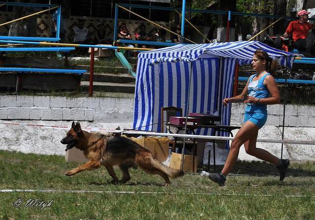 Negus Karil`s Chastushka