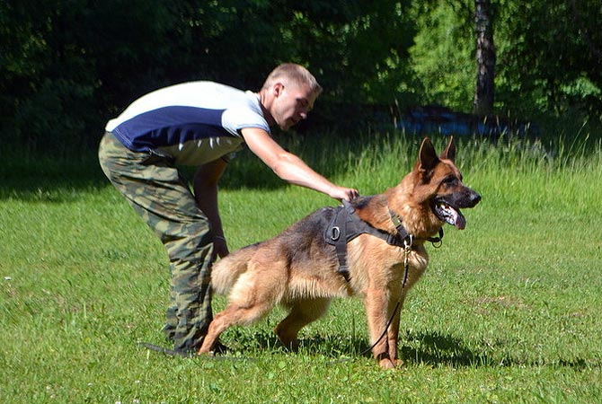 Negus Karil`s Chastushka