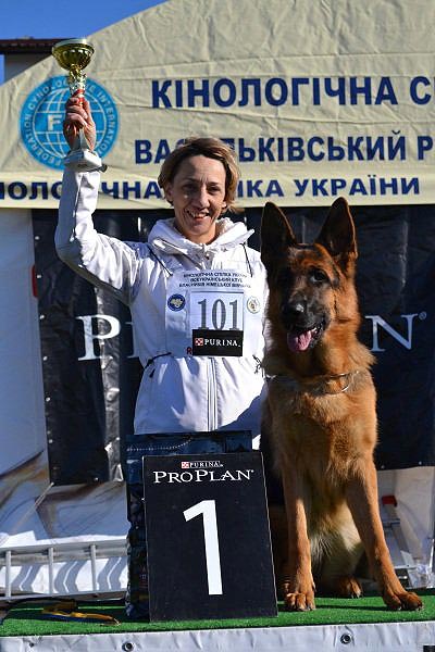Зависть Богов Беллатрикс