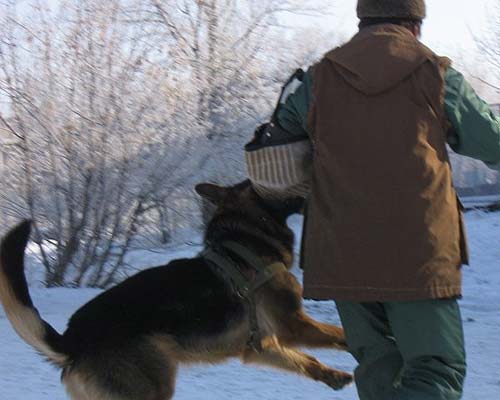 Зависть Богов Ганнибал