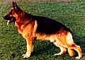 ULK v. Arlett