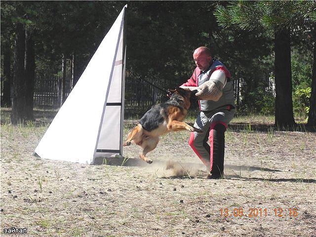 Зависть Богов Жётэм