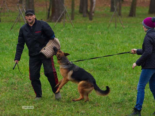 Зависть Богов Сэтти
